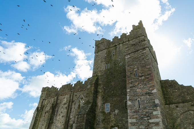 Tintern Mar 2018 (035)